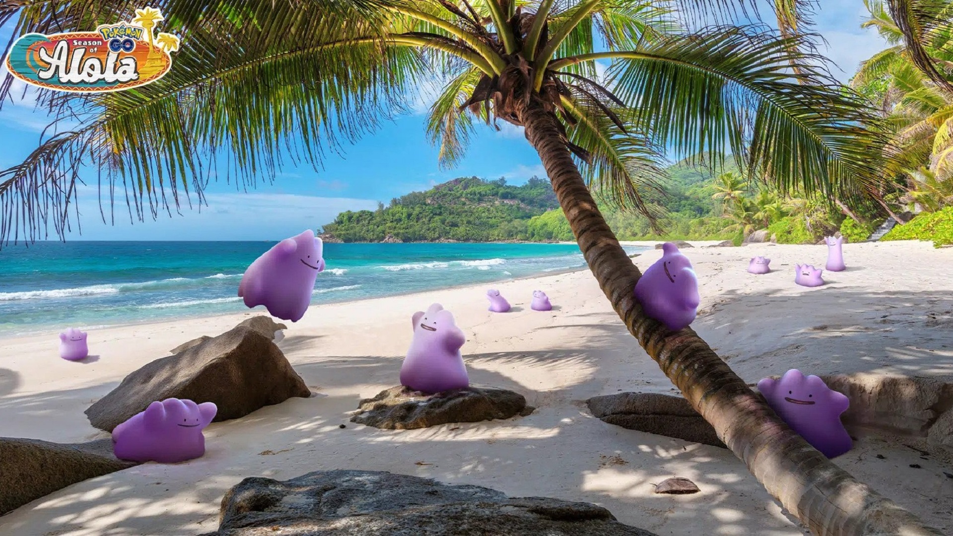 Un grupo de Ditto en Pokémon GO