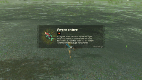 Perca de enduro Zelda Tears of the Kingdom: ¿cómo encontrar este pez para Ghenkott?