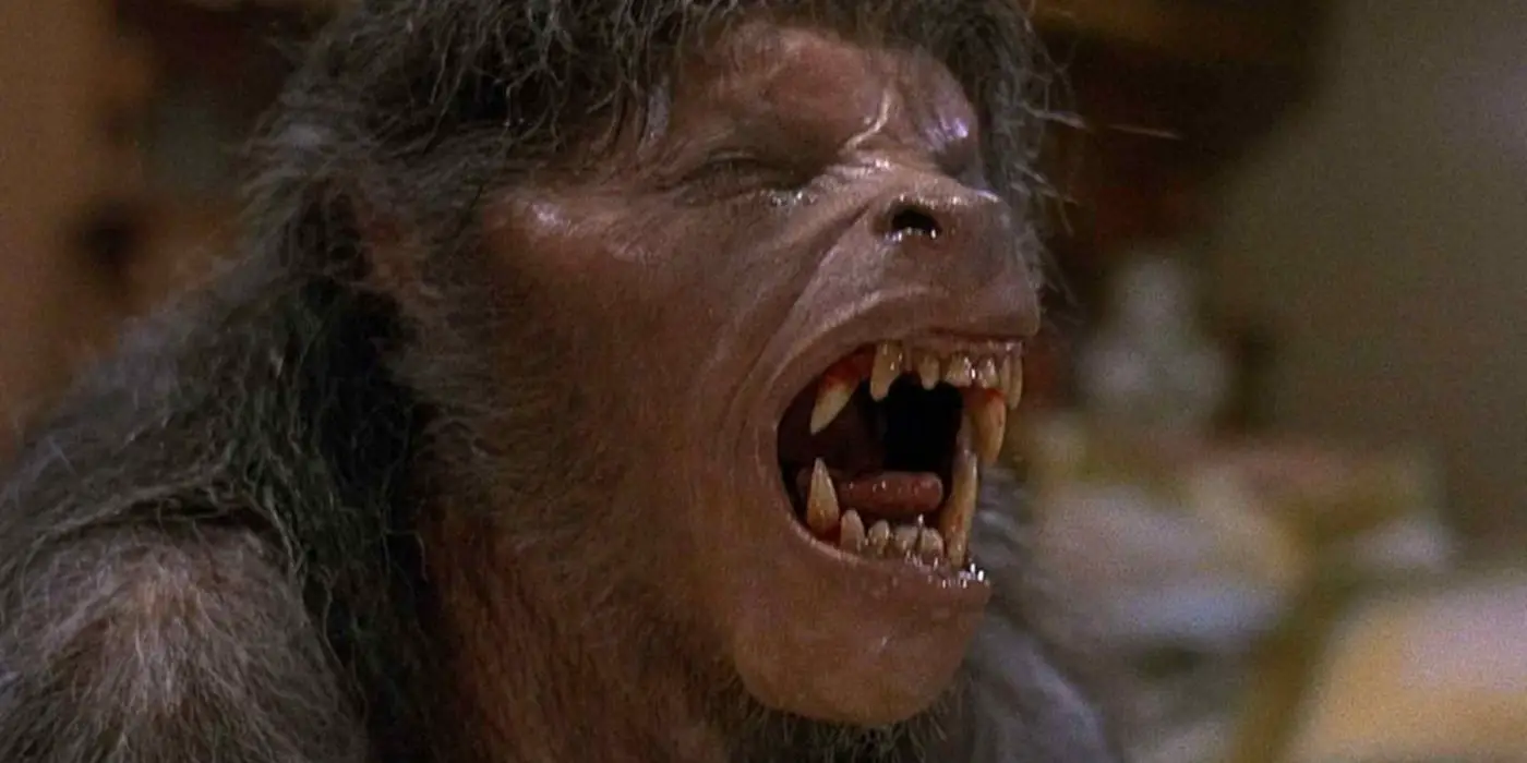 David Naughton como David Kessler en la dolorosa escena de transformación del hombre lobo en 'An American Werewolf in London'.