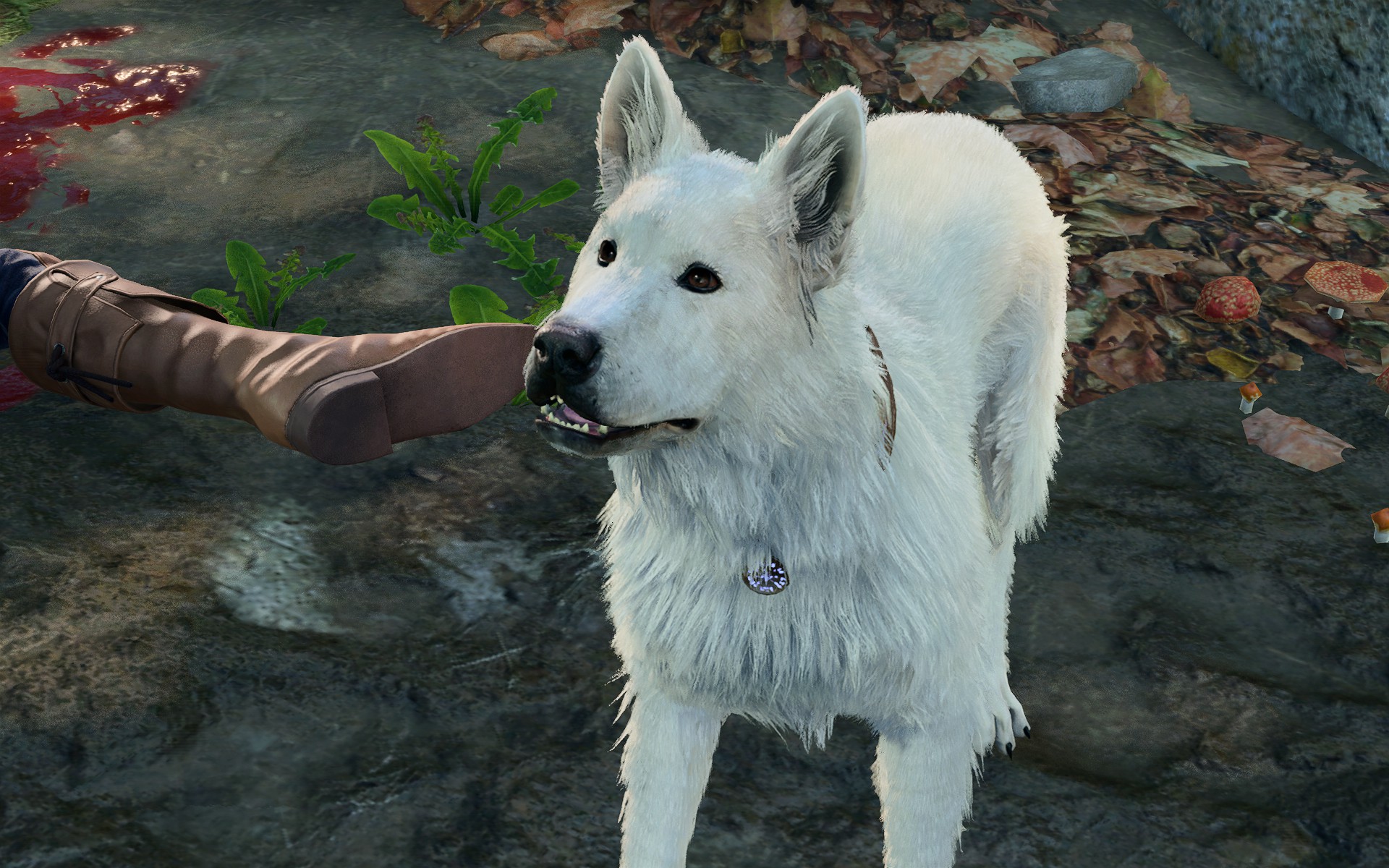 Un perro blanco se para al lado de su dueño muerto
