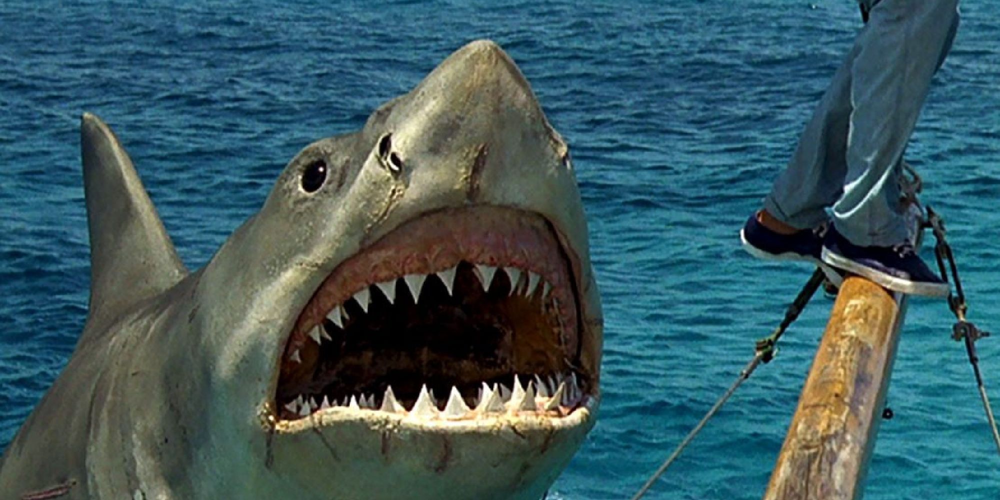 El tiburón en Tiburón: La Venganza