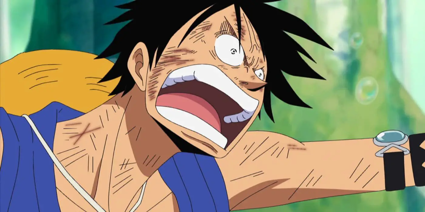 Luffy visto en One Piece, Episodio 405