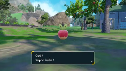 Pomdramour DLC Pokémon Escarlata y Púrpura: ¿cómo obtener la nueva evolución de Verpom?