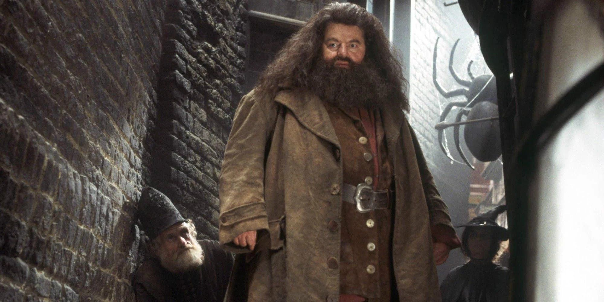 Hagrid mirando a alguien desde lo alto de unas escaleras en Harry Potter