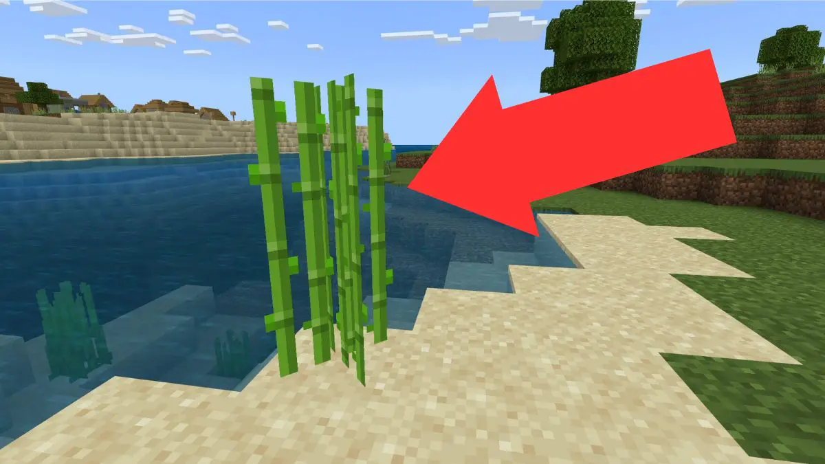Caña de azúcar en una orilla en Minecraft.