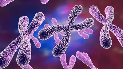 El cromosoma artificial que, quizás, sea el punto de inflexión en la lucha contra el cáncer